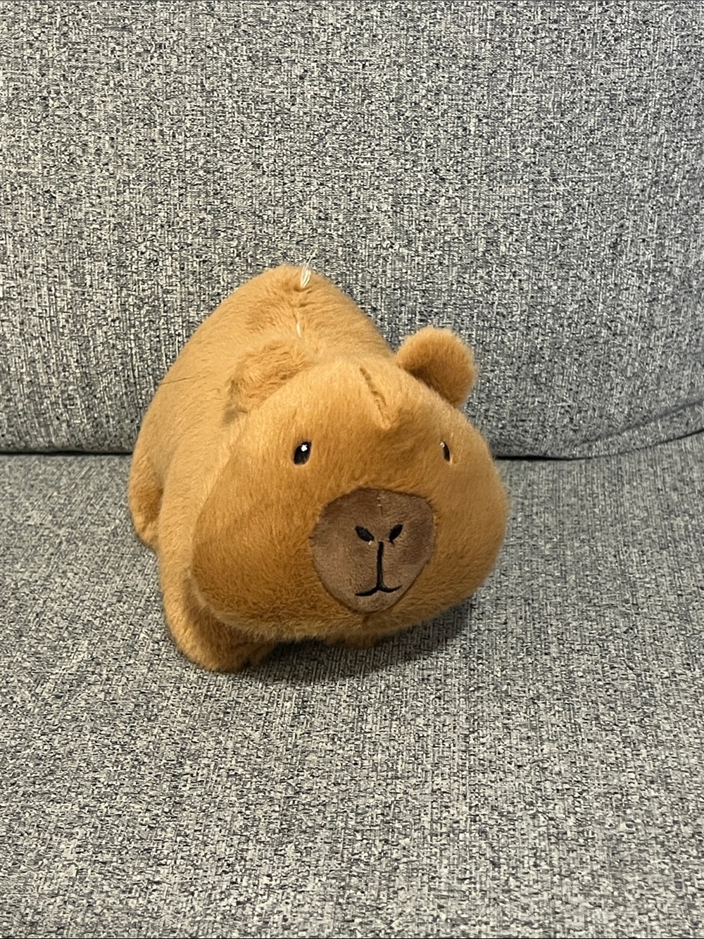 Plush Small Pet Toy - Soft Brown Guinea Pig Plush